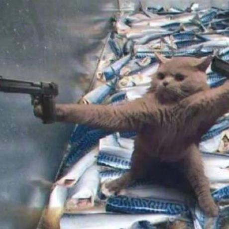 Shuoyang97 Shuoyang Github