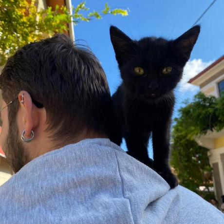 Ilke Niedu Github - Nature Pictures - Artistic Mobile Collection