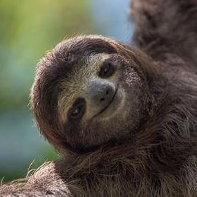 Github Valerra45 Internship Test3 - Modern HD City Arts | Free Download