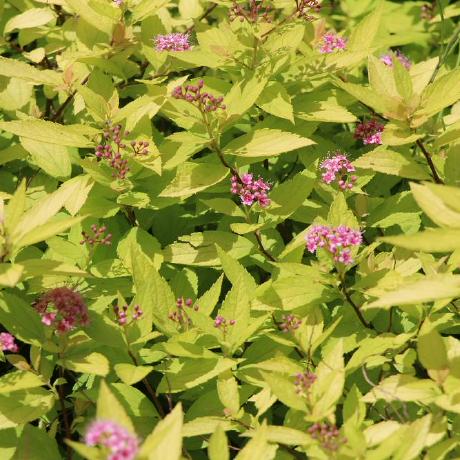 Matthiaskmt Matthias Friese Github - Space Pictures - Stunning Mobile Collection