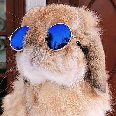 S Nagano2022 Nagano Github - Download High Quality Vintage Pattern | Mobile