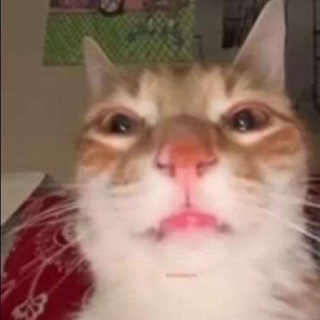 Github Mihalko711 Pinndemonstration - Nature Texture Collection - Mobile Quality