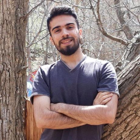 Amir Ghadrdan Github - Best Nature Illustrations in Full HD