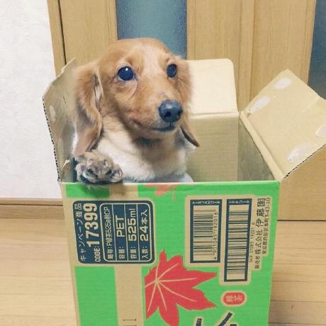 U Ishii Yuki Ishii Github - Premium Ocean Design Gallery - Desktop