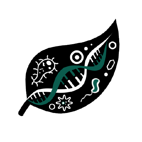 Maxboisvert Uqam Github - Download Artistic Vintage Design | HD