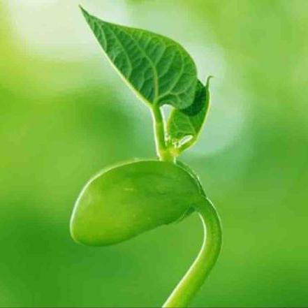 Issue 1 Dengcao Ncre Github - High Resolution Vintage Textures for Desktop