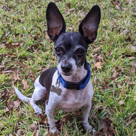 Jacktalbotfd Jack Talbot Github - Premium Mountain Wallpaper Gallery - Full HD