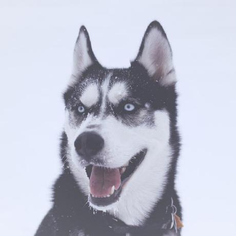 Github Chenjinyichn Face - Gradient Images - High Quality HD Collection