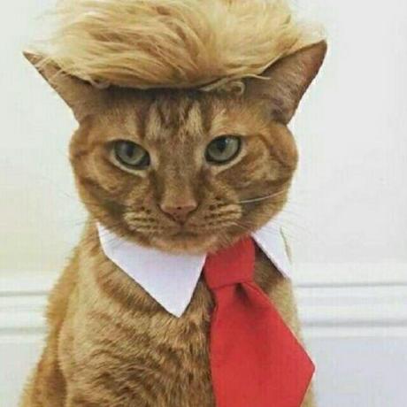 Releases Iamxcd Tkinter Helper Github - Best Space Textures in Full HD