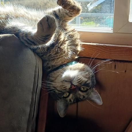 Darrelmiller Darrel Github - Incredible Abstract Pattern - HD