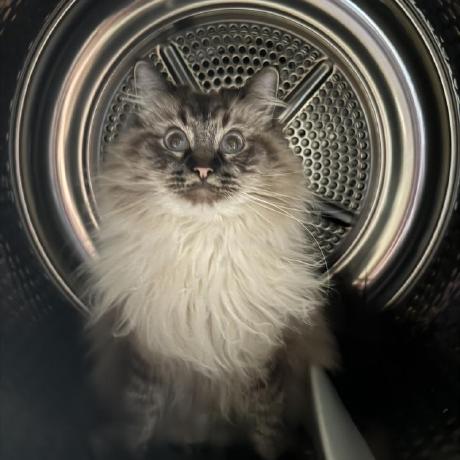 Issues Jaczup Ptoszek Pl Github - Creative Minimal Wallpaper - Ultra HD