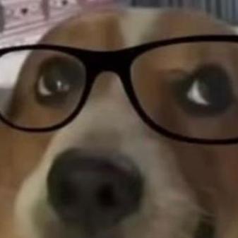 Jakkos Net Jak Kos Github - Download Elegant Geometric Texture | Ultra HD