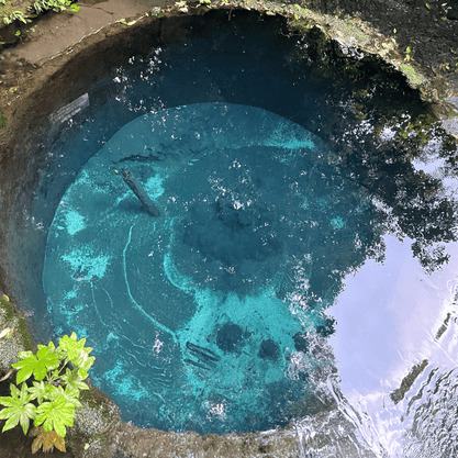 Aquarius200 Aquarius Github - Minimal Background Collection - High Resolution Quality