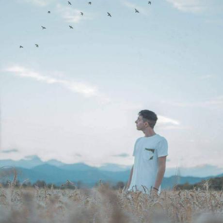 Pasinim Marco Pasini Github - Artistic Retina Geometric Arts | Free Download