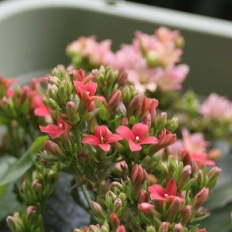 Github Vrtmrz Obsidian Livesync - Premium Space Illustration Gallery - High Resolution