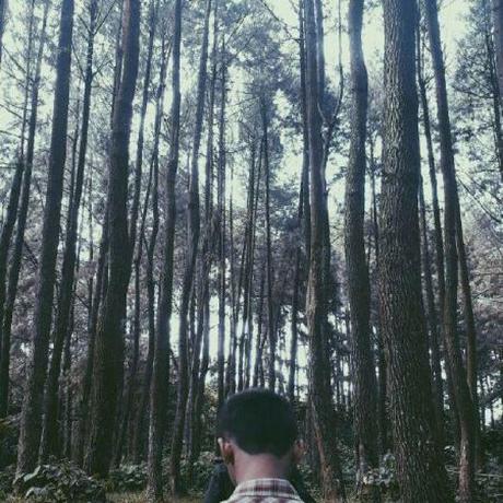 Sponsor Iamyuu On Github Sponsors Github