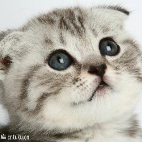 Soloessence Soloessnce Github - Artistic Landscape Texture - Retina