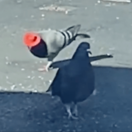 Erikburdett Erik Burdett Github - Modern Vintage Image - Retina