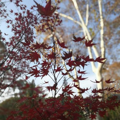 18171431003 Lei Github - Geometric Photo Collection - Ultra HD Quality