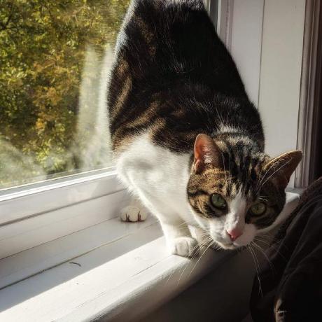 Viv 1981 Mmdthurr Github - Modern City Picture - HD