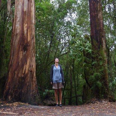 Urania277 Caterina Github - Premium Mountain Texture Gallery - Mobile