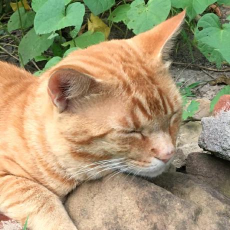 Github Z64tools Z64playas - Ocean Images - Premium Retina Collection