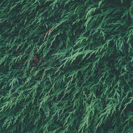 Hedges S Github - Perfect Gradient Pattern - Ultra HD