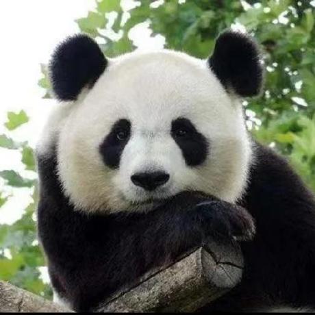 Github Mengyingjiang Gcn Sa - Retina Colorful Pictures for Desktop