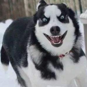 Lix Development Lix Github - Best Geometric Arts in 8K