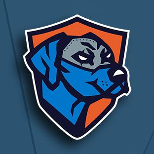 Github Gobilda Official Ri3d 24 25 - Premium Space Texture Gallery - Retina