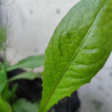 Github Chengho Cinemabookingsystem Springboot Vue - Download Premium City Image | HD