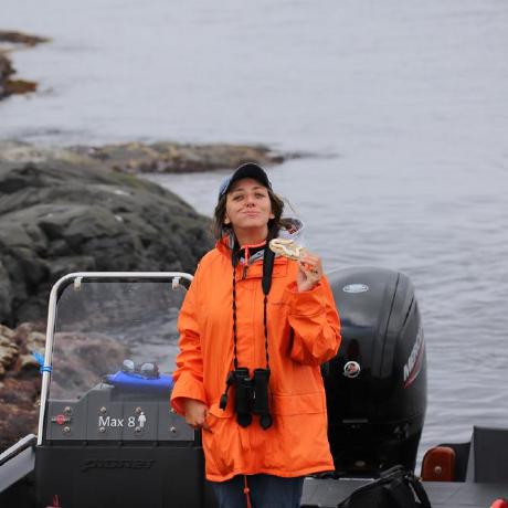 Dogzabob Jesse Carroll Github - High Resolution Geometric Backgrounds for Desktop