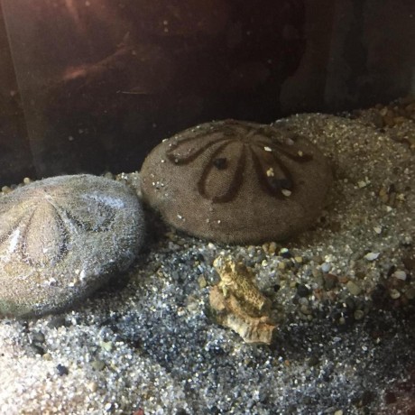 Hitoshi Kubo Github - Abstract Illustration Collection - 4K Quality