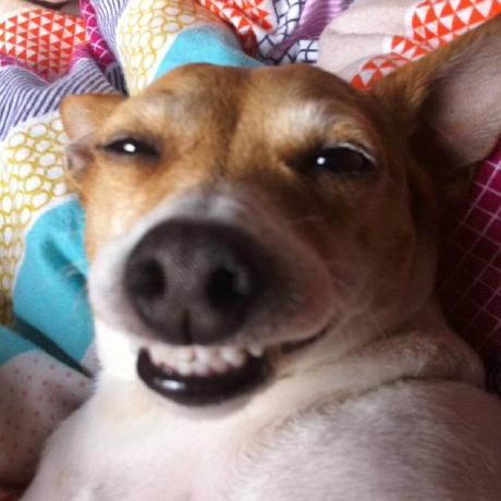 Nomadsleidk Artemii Github - Sunset Background Collection - Desktop Quality