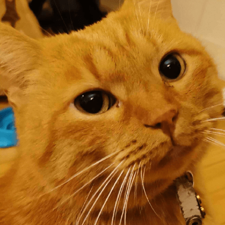 Github Labbeti Dcase2021task6 Irit Ups Dcase 2021 Audio Captioning - Full HD Light Wallpapers for Desktop