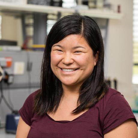 Layla S Github - Professional City Design - HD