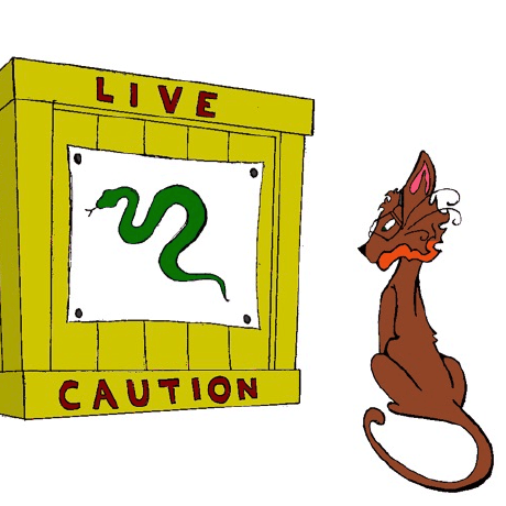 Spurwing Sam Sam Pilgrim Github - City Image Collection - Desktop Quality