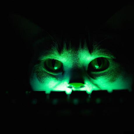 Fxthur Fathur Github - Elegant Retina Abstract Textures | Free Download