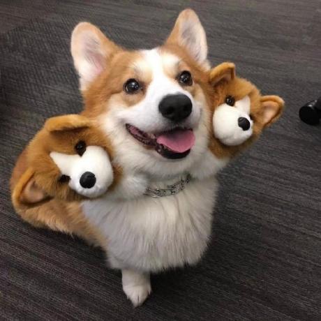 Yipingruan Yiping Github - Dark Backgrounds - Ultra HD Retina Collection