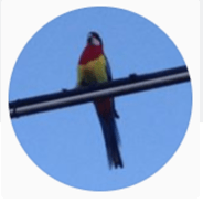 Github Valoeghese Valoeghese Github Io My Website - Premium Dark Background Gallery - Retina