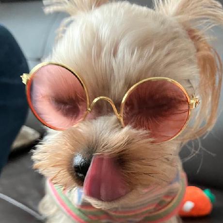 Baegichan Bgc Github