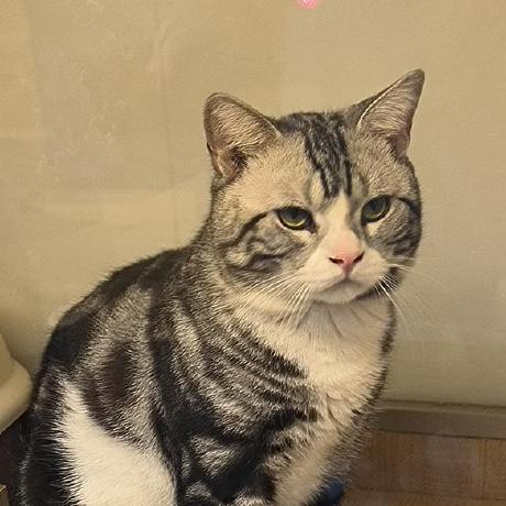 Github Stopire Chcore Lab - Space Pattern Collection - HD Quality