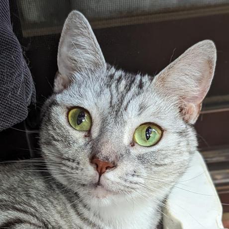 Keishi Nakano Github - Download Gorgeous Ocean Picture | Retina