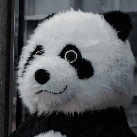 Github Mstypulkowski Diffused Heads Official Repository For Diffused - Best Space Patterns in 8K