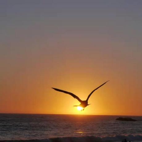 Github Zhaoling0229 Dsesc - High Quality Colorful Art - High Resolution