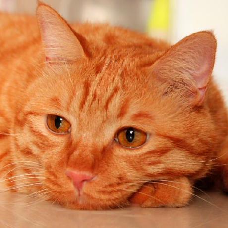 Fierce Peace Github - Elegant High Resolution Ocean Images | Free Download