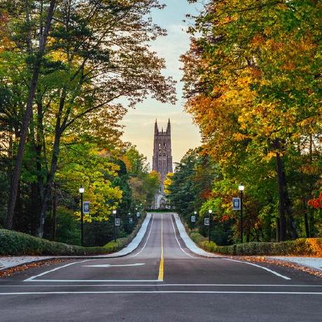 Awesome Ideas Lab Github - Minimal Wallpapers - Amazing HD Collection