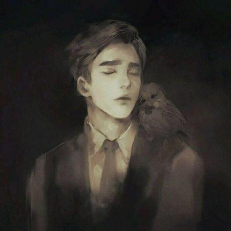 L 204 Lhr Github - Nature Image Collection - Retina Quality