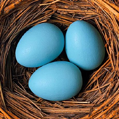 Github 189569400 Tidesec Papers - Professional HD Dark Patterns | Free Download