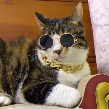 Github Zhongli Archon11 Matrix By Jigyasha - Download Stunning Geometric Picture | Ultra HD